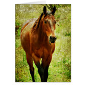 おもしろい馬 (正面)