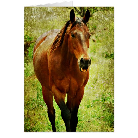 おもしろい馬 (正面)