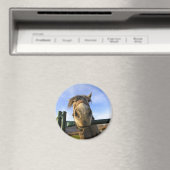 おもしろい馬 マグネット (インサイチュ (食洗機))