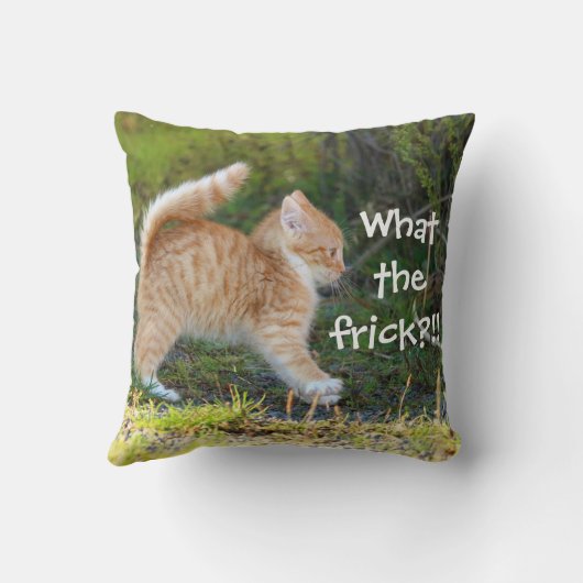 おもしろい驚いた。フリックって何だ? クッション (裏面)