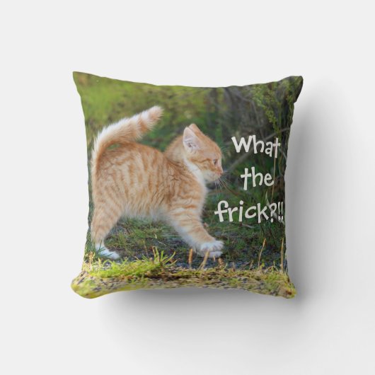 おもしろい驚いた。フリックって何だ? クッション (正面)