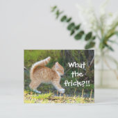 おもしろい驚いた。フリックって何だ? ポストカード (スタンド正面)