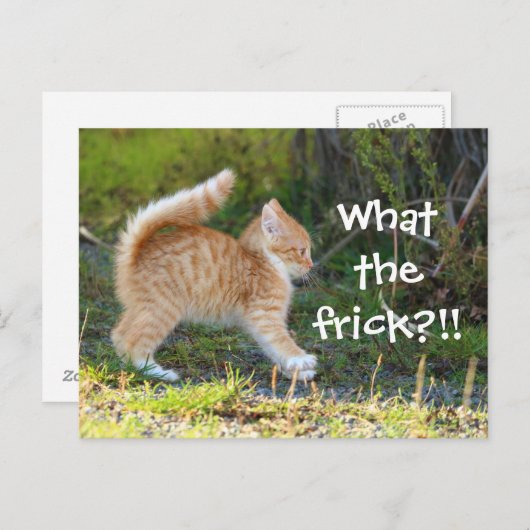 おもしろい驚いた。フリックって何だ？ ポストカード (正面/裏面)