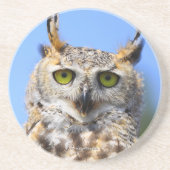 おもしろい驚く美し素晴らしい角フクロウ コースター (正面)