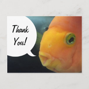 おもしろい魚のペコリューカード ありがとう ポストカード