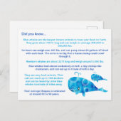 おもしろい鯨類事実 ポストカード (正面/裏面)