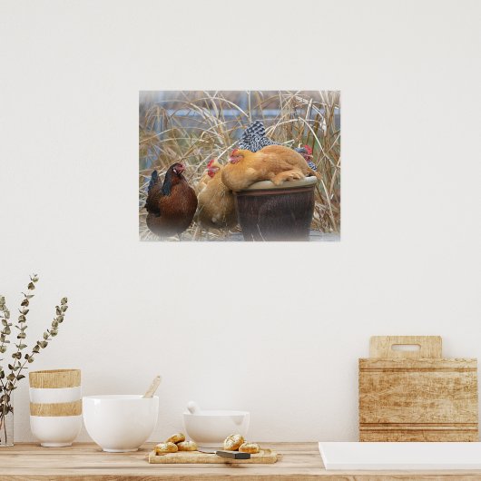 おもしろい鶏 ポスター (キッチン)