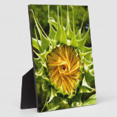 おもしろい黄色フローラひまわり フォトプラーク (側面)