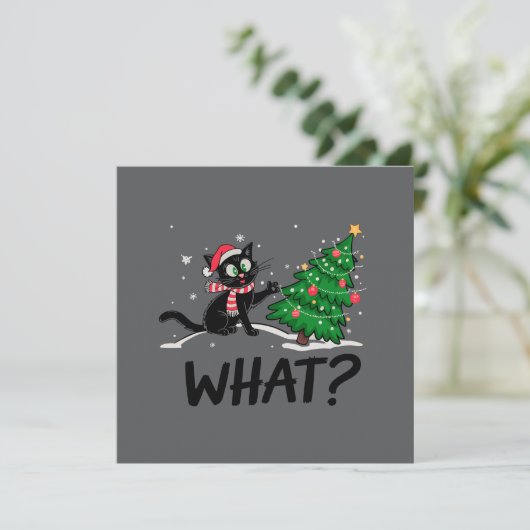 おもしろい黒猫がクリスマスツリーを押す猫 何？ シーズンカード (スタンド正面)