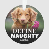 おもしろい2枚の写真ペットのクリスマス オーナメント (正面)