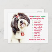 おもしろい12クリスマスの日 シーズンポストカード (正面/裏面)