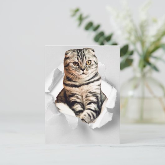 おもしろい3dグラフィック猫の引き裂き紙イリュージョン正方形 ポストカード (スタンド正面)