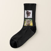 おもしろい4最高の写真犬パパエバーコラージュ黒 ソックス (左外側)