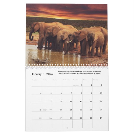 おもしろい&ゾウに関する興味深い事実 カレンダー (1月 2026)
