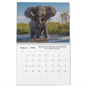 おもしろい&ゾウに関する興味深い事実 カレンダー (2月 2026)