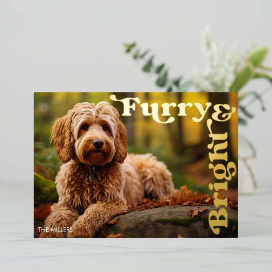 おもしろい フワフワ & 明るい 犬のペット クリスマス 現代 箔シーズンカード (立ち正面)