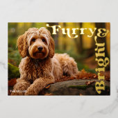 おもしろい フワフワ & 明るい 犬 ペット クリスマス 現代 箔シーズンカード (正面)