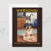 おもしろい: ベビーで積み重なるマウスおよび猫および犬- 案内ポストカード (正面/裏面)