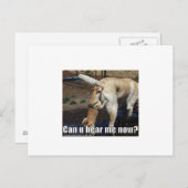 おもしろい ポストカード (正面/裏面)