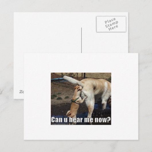 おもしろい ポストカード (正面/裏面)