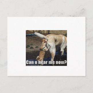 おもしろい ポストカード