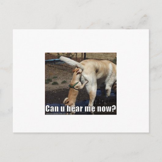 おもしろい ポストカード (正面)