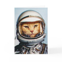 おもしろい「宇宙猫」誕生日