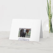 おもしろい-牛動物のユーモア-牧場ありがとう サンキューカード (裏面)