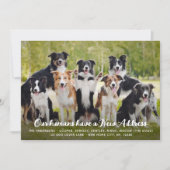 おもしろい 現代風 新しい住所 オーダーメイド ペット 犬 写真 案内状 (正面)