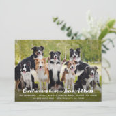 おもしろい 現代風 新しい住所 オーダーメイド ペット 犬 写真 案内状 (スタンド正面)