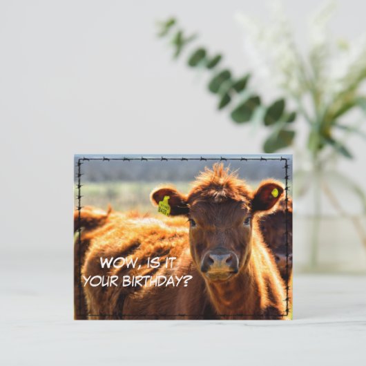 おもしろい 誕生日 田舎の郵便話 農場からのお話 ポストカード (スタンド正面)