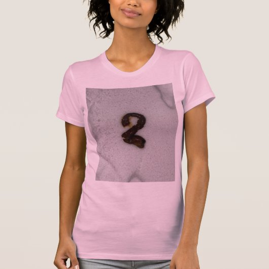 おもしろい#2犬が設計 Tシャツ (正面)