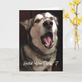 おもしろいAlaskan Malamute Dog考える写真 カード (黄色い花)