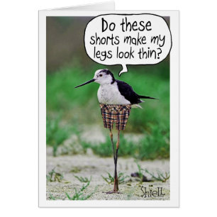 おもしろいBIRD SHORTSカードまたはプレゼント
