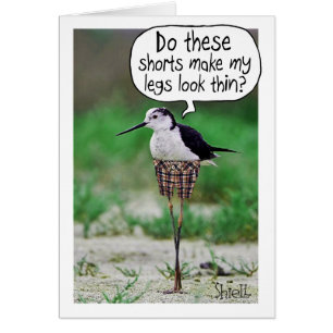 おもしろいBIRD SHORTSカードまたはプレゼント