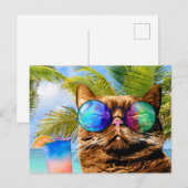 おもしろいCat 675ビーチ シーズンポストカード (正面/裏面)