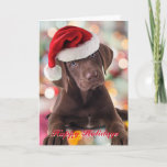 おもしろいChocolate Lab PuppyとSanta Hat Card シーズンカード<br><div class="desc">可愛いチョコレートラボの子犬サンタ・ハットを着て。縦.写真。背景にスぼやけクリスマスの光。彼はカメラを右に見て、"Happy Holidays"を願っている。受信者にスマイルを持ち込む可愛いが上品。カードの中には「クッキーのためだけに作る」「Hope Santaがストッキングにグッズをたくさん詰める」と書かれている。 コピーはパーソナライズされたお客様のニーズに合わせて使用できる。サム・アレンオリジナル写真。</div>