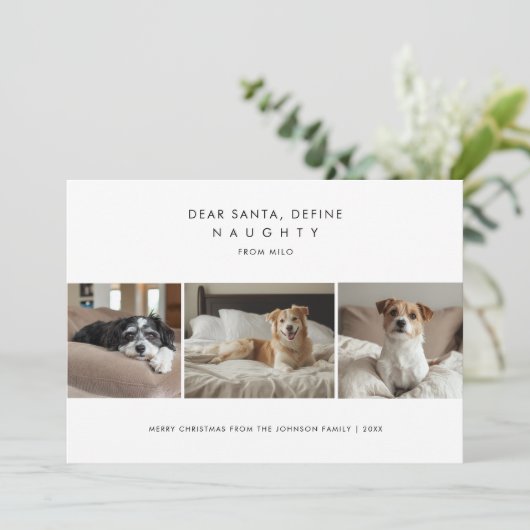 おもしろいChristmasいけな Dog Photo Greetingsの定義 シーズンカード (スタンド正面)