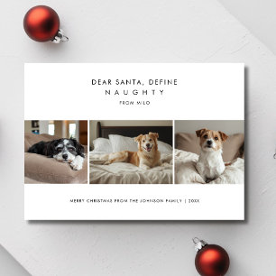 おもしろいChristmasいけな Dog Photo Greetingsの定義 シーズンカード