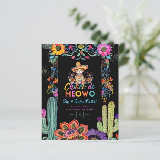 おもしろいCinco De Mayo SipとSalsa Cat FIESTA (スタンド正面)