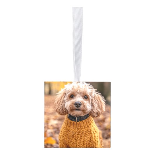 おもしろいCockapoo Santa Dog 2枚の写真クリスマス キューブオーナメント (右)