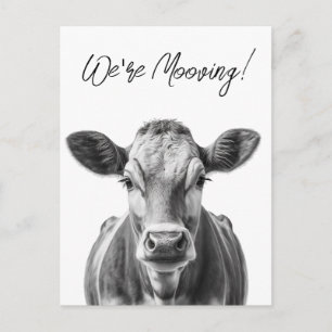 おもしろいCow We'ing Moving発表 案内ポストカード