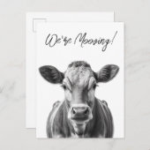 おもしろいCow We'ing Moving発表 案内ポストカード (正面/裏面)