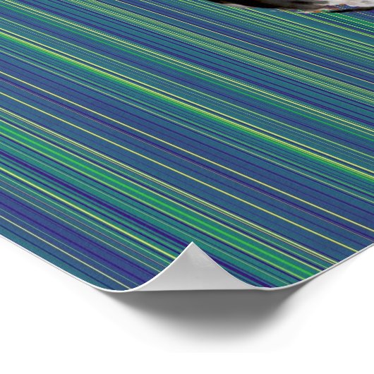 おもしろいDJ猫 ポスター (角)