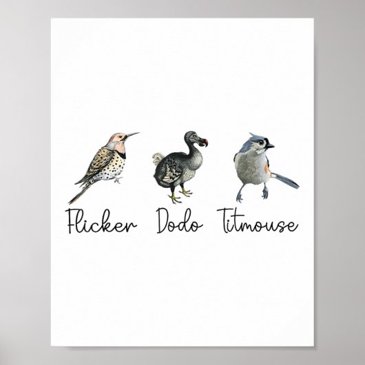 おもしろいDodo Titmouseフリッカ ポスター (正面)
