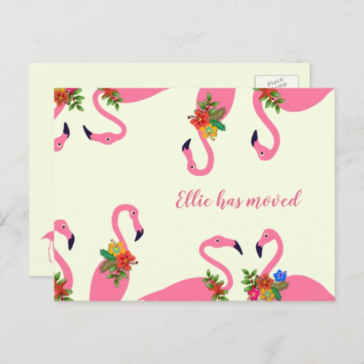 おもしろいFlamingosの新しいアドレス 案内ポストカード (正面/裏面)