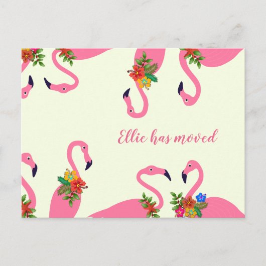 おもしろいFlamingosの新しいアドレス 案内ポストカード (正面)