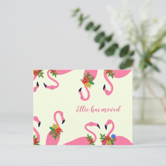 おもしろいFlamingosの新しいアドレス 案内ポストカード (スタンド正面)