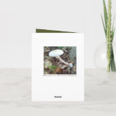 おもしろいFungiハッピーバースデーカード – カスタマイズ可能 カード (裏面)