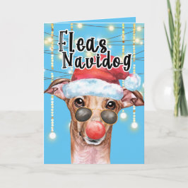 おもしろいGreyhound Santa dog Christmas fleas navidog カード